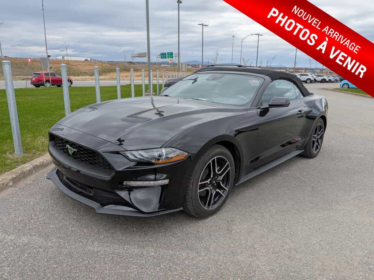 Image 1 Ford Mustang EcoBoost haut niveau décapotable 2023