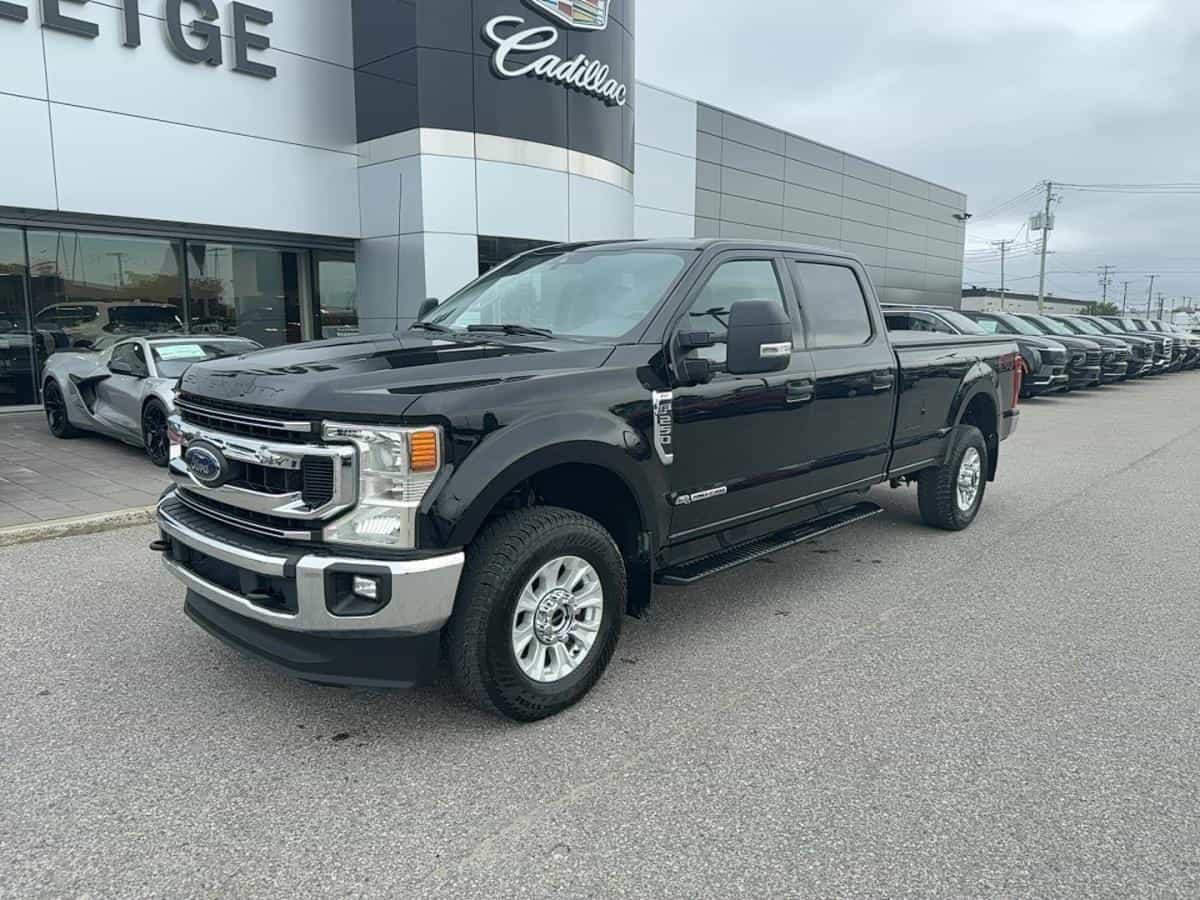 2020 Ford Super Duty F-250 SRW XL cabine 6 places 4RM caisse de 6,75 pi - Image 1