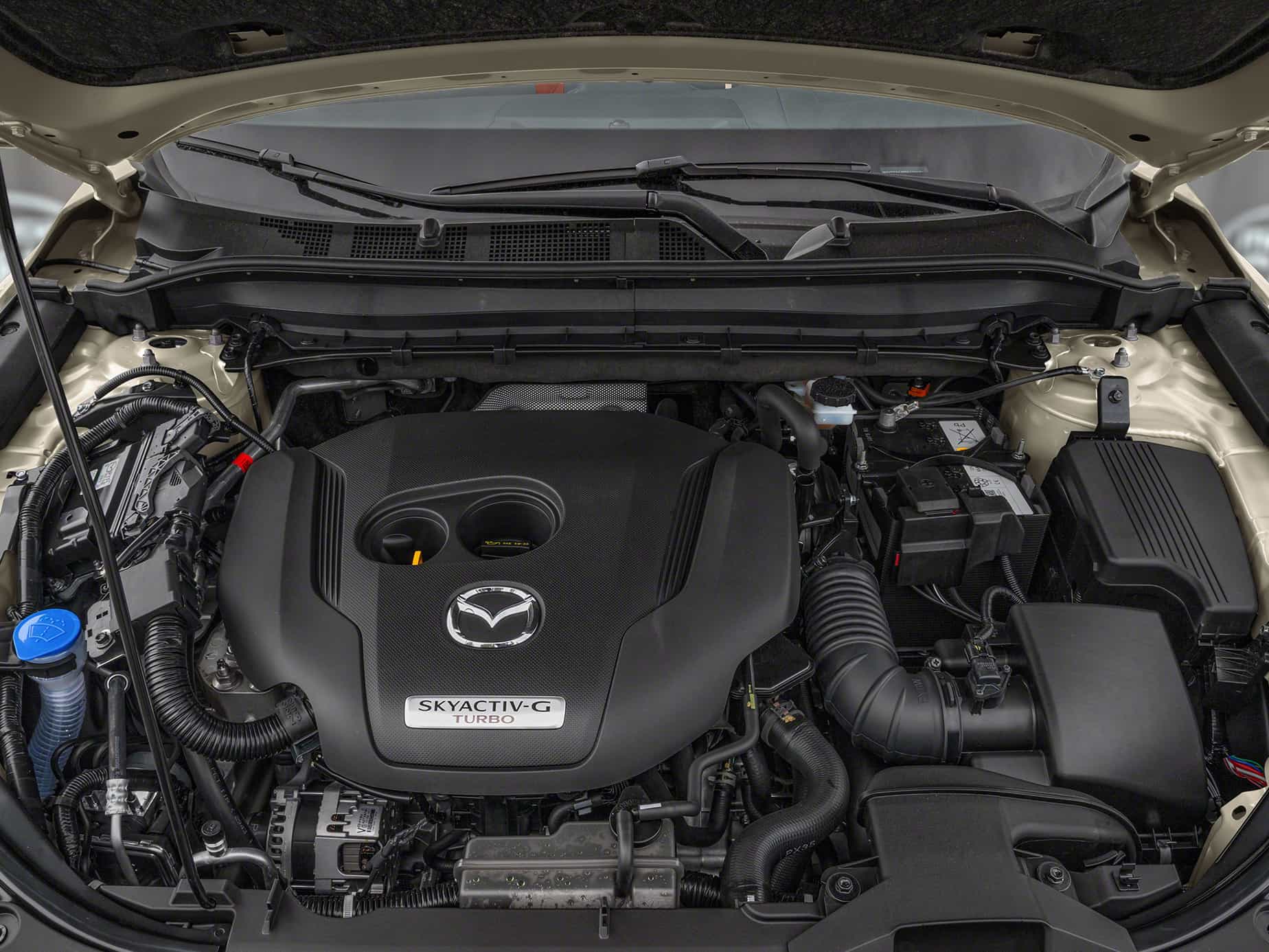 2025 Mazda CX-5 Cx-5 Suna - Image 8