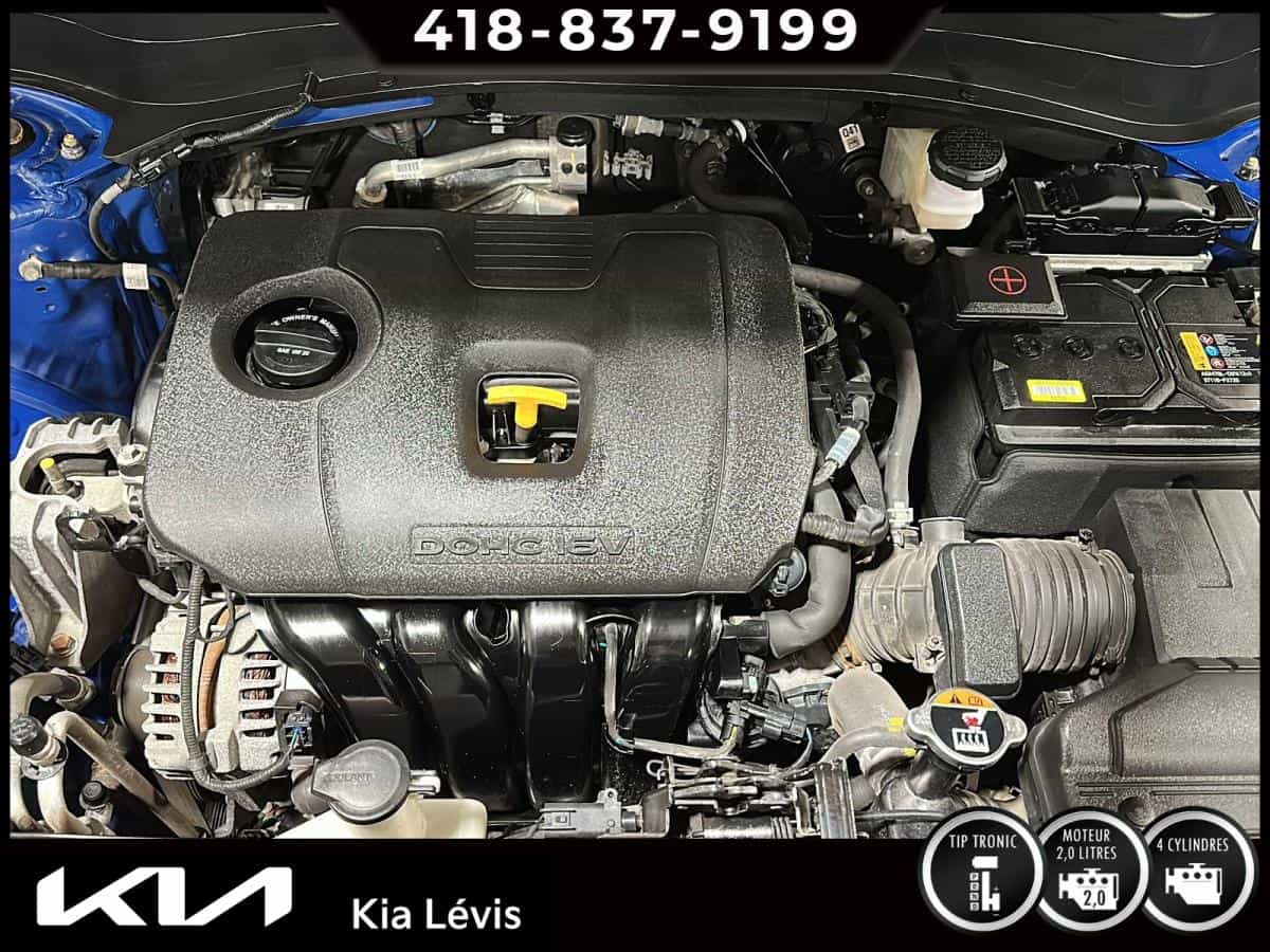 2023 Kia Seltos Ex Ta - Image 15