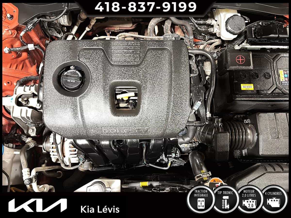 Image 15 Kia Seltos LX Traction Intégrale 2023