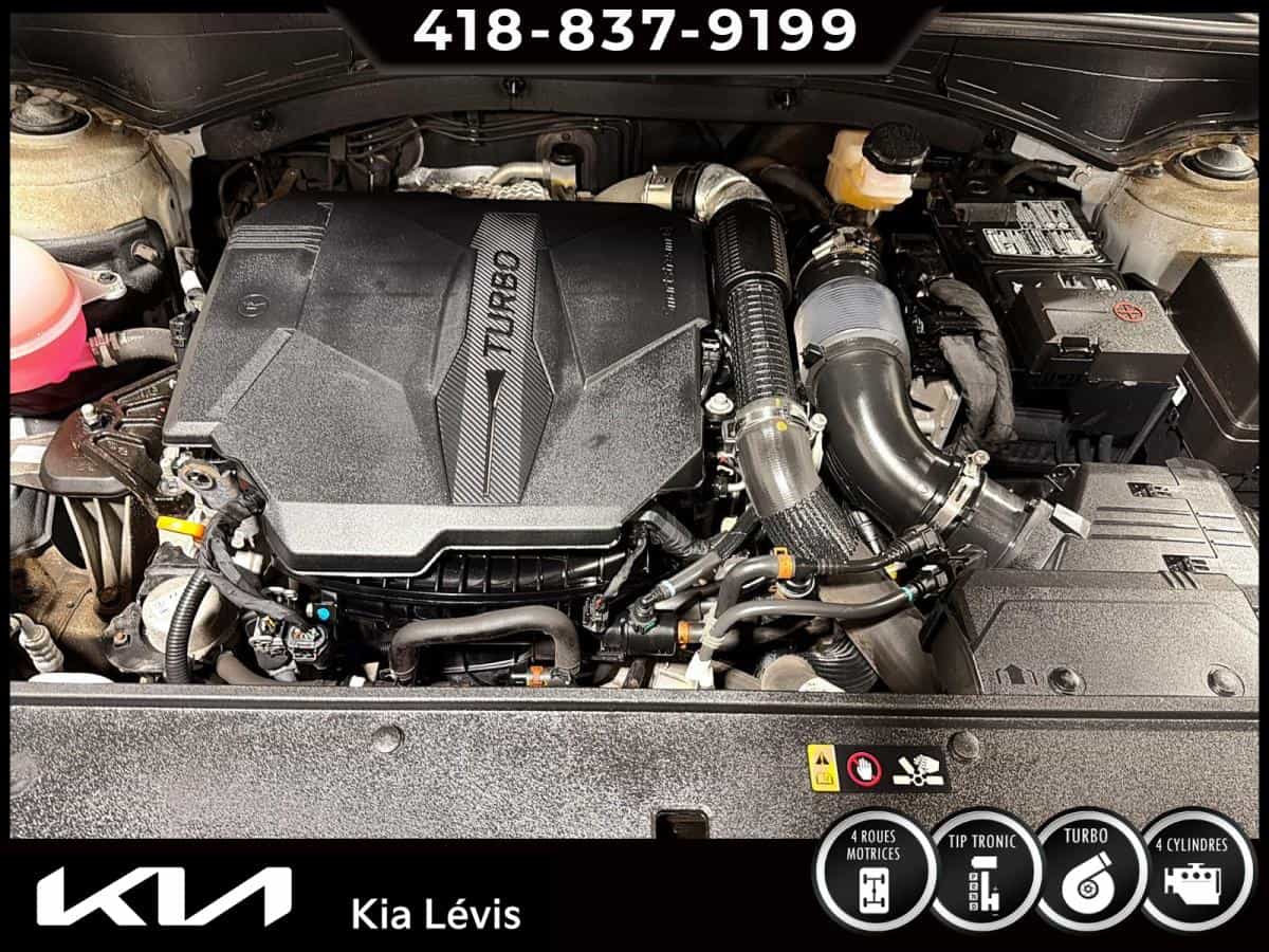 Image 15 Kia Sorento X-Line TI 2023