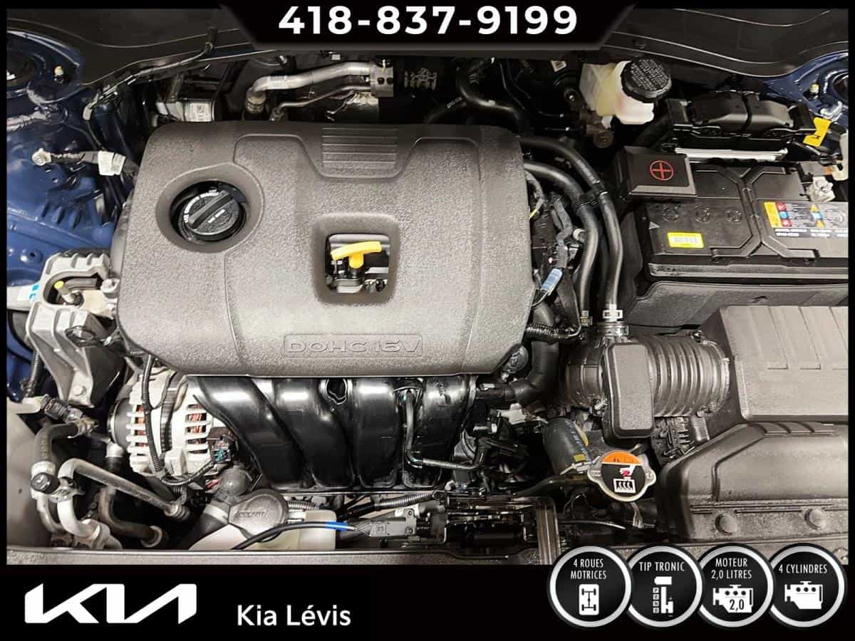 Image 15 Kia Seltos EX Traction Intégrale 2025