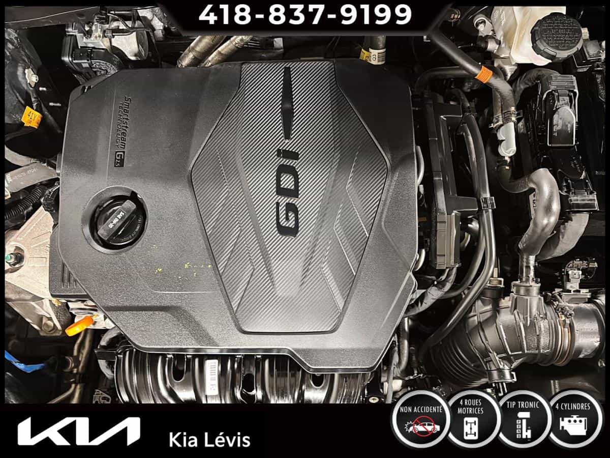 Image 15 Kia Sportage EX Premium 2023