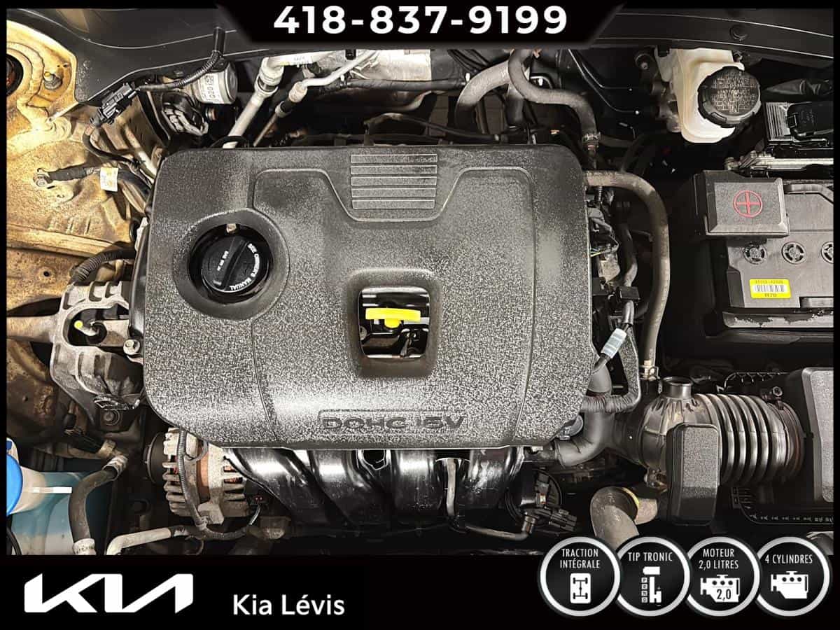 Image 15 Kia Seltos EX Traction Intégrale 2023