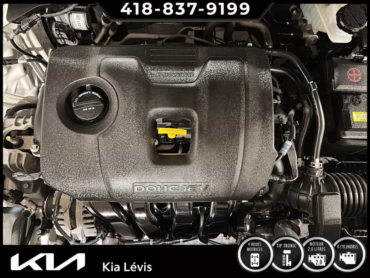 2026 Kia Seltos EX Traction Intégrale - Image 15