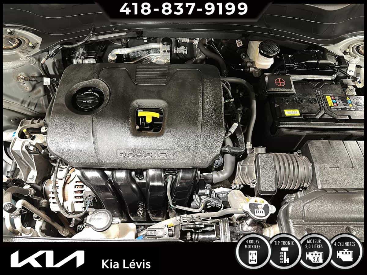 Image 15 Kia Seltos EX Traction Intégrale 2022