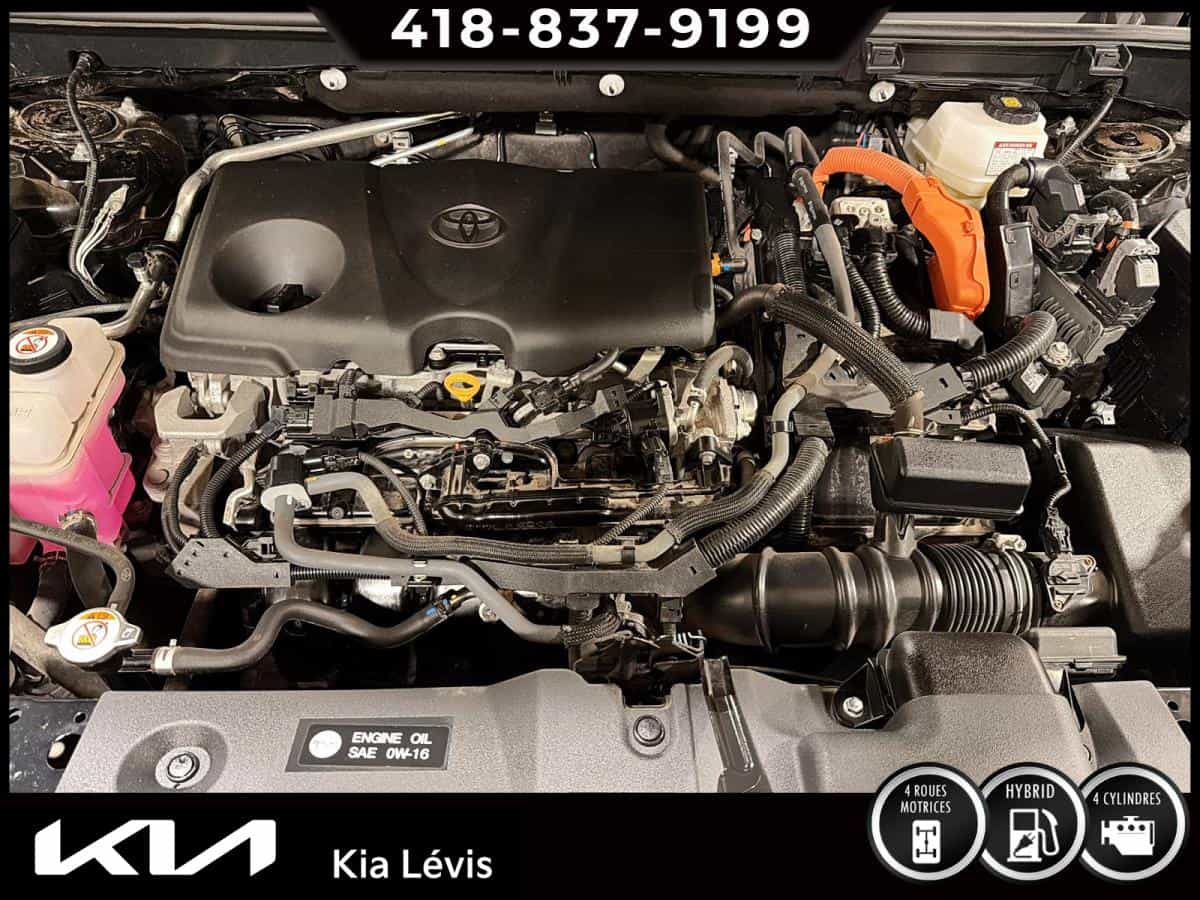 Image 15 Toyota RAV4 Hybrid Hybrid XLE 2023