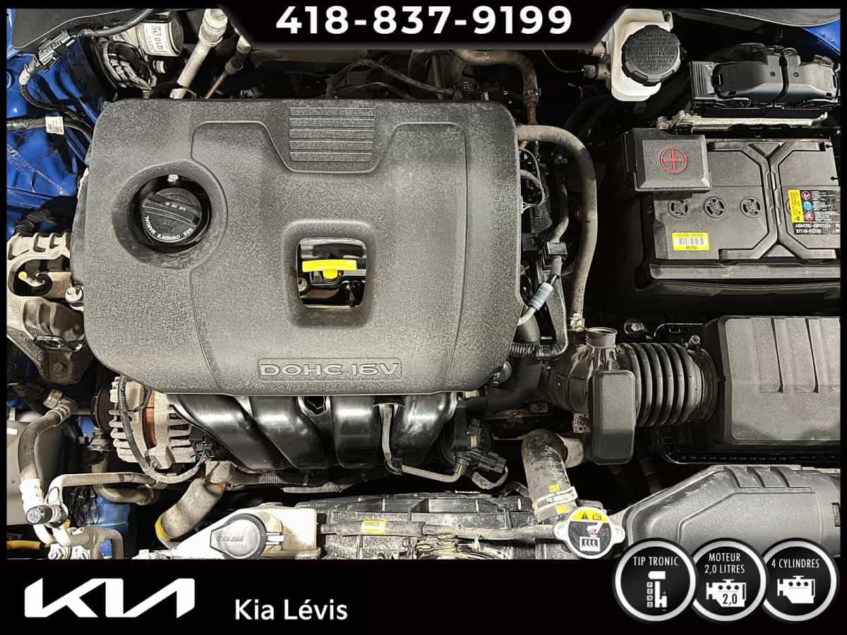 Image 15 Kia Seltos Lx Ta 2022