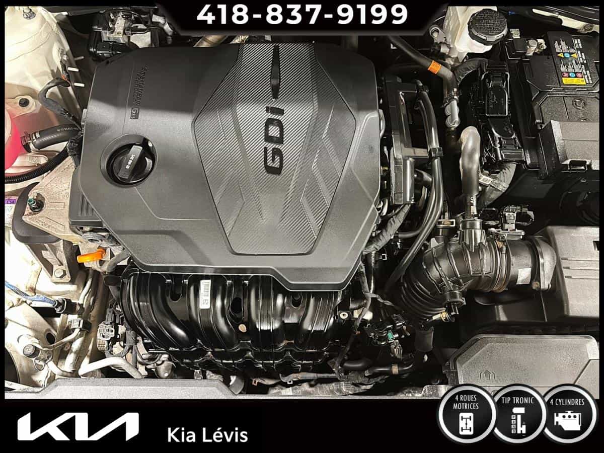 Image 15 Kia Sportage EX Traction Intégrale 2024