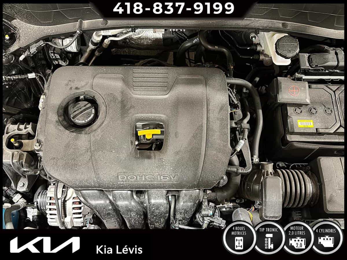 Image 15 Kia Seltos EX Traction Intégrale 2026