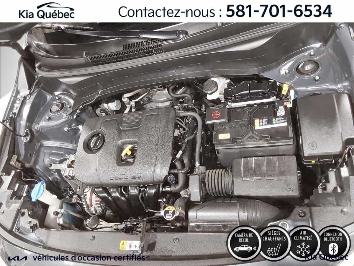 2024 Kia Seltos Ex *Awd *Toit *Cuir *Carplay *Bluetooth *Cruise *A/C - Image 9