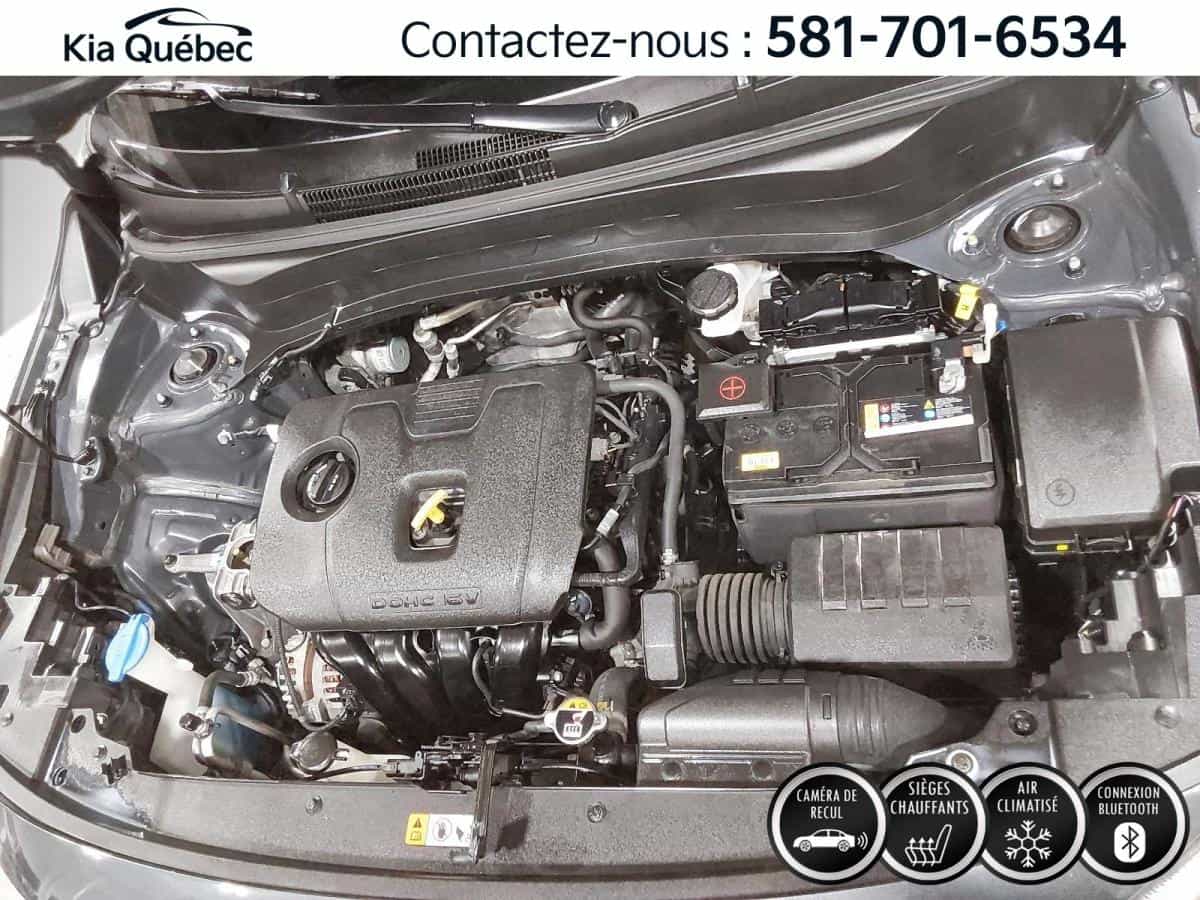 2024 Kia Seltos Ex *Awd *Toit *Cuir *Carplay *Bluetooth *Cruise *A/C - Image 6