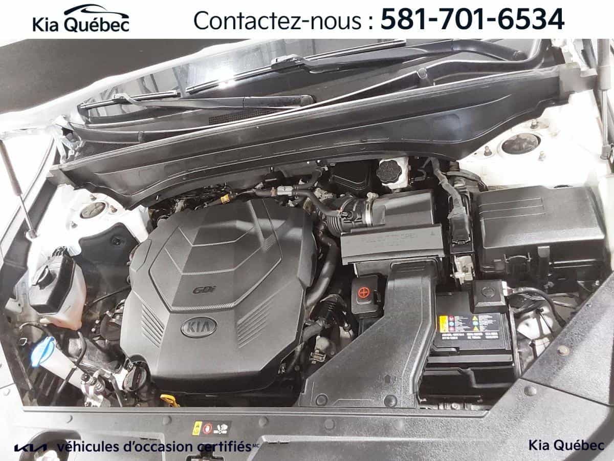 2021 Kia Telluride Sx *Cuir *Toit *Camera 360 *Carplay *Regulateur - Image 7