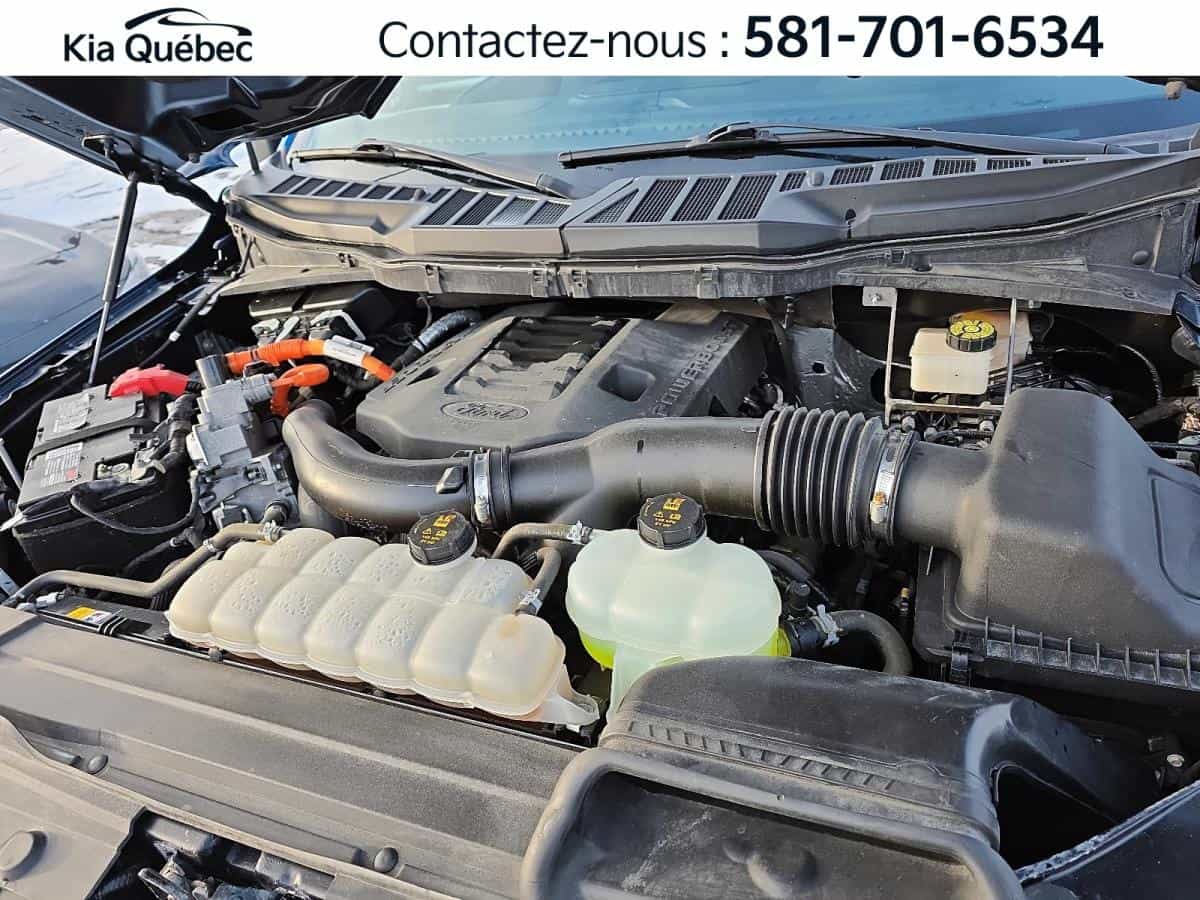 2021 Ford F-150 XLT CREW POWERBOOST *4X4 *BOITE DE 5,5 pi *CRUISE *CARPLAY - Image 7