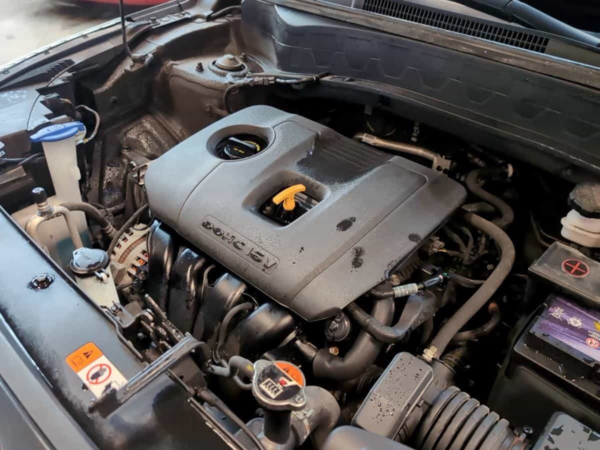 Image 7 Kia Seltos Ex *Awd *Cuir *Toit *Carplay *Cruise *Caméra 2021