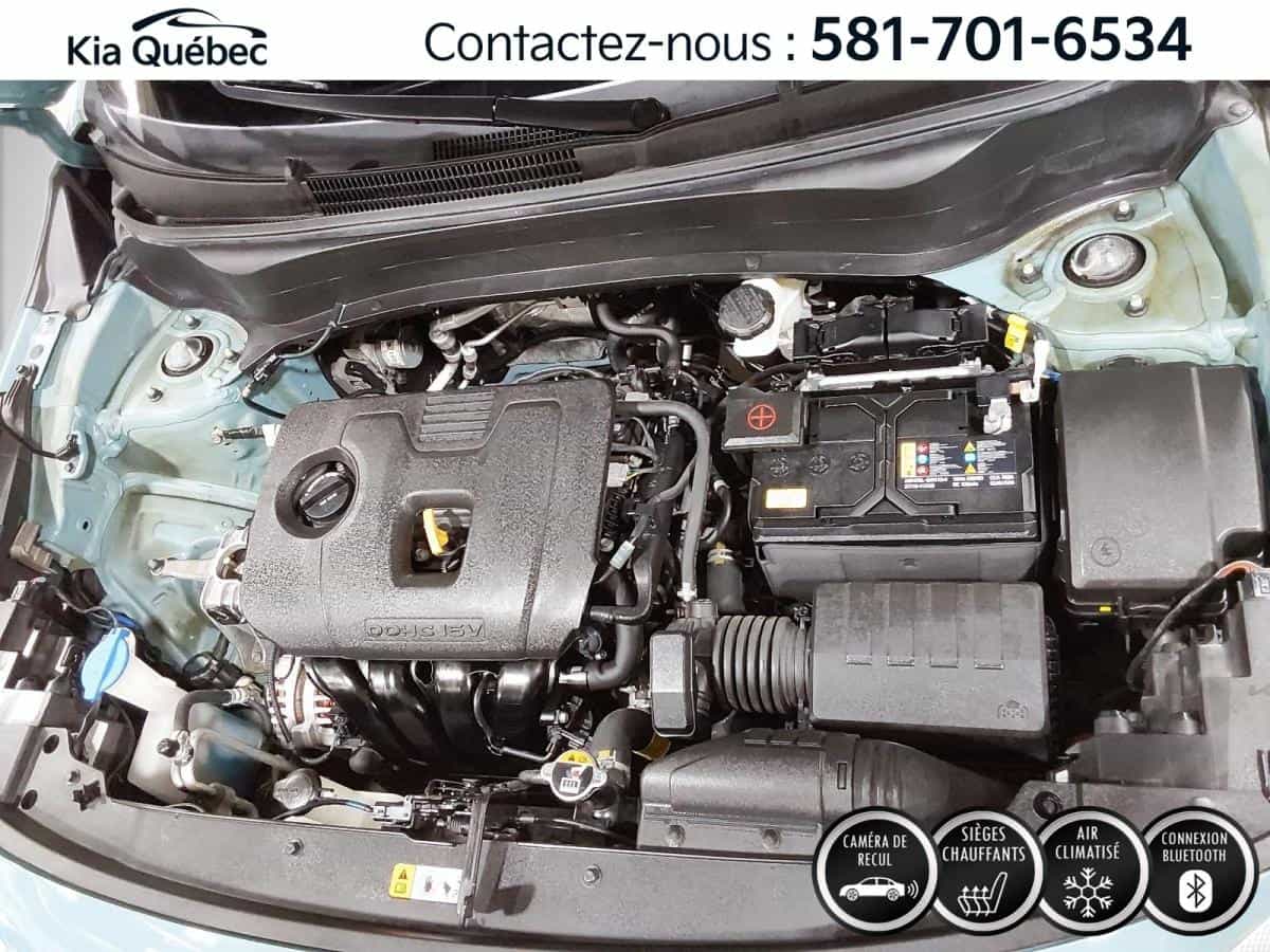 Image 6 Kia Seltos Ex Awd *Cuir *Caméra *Toit *Apple Car Play/Android Auto 2024