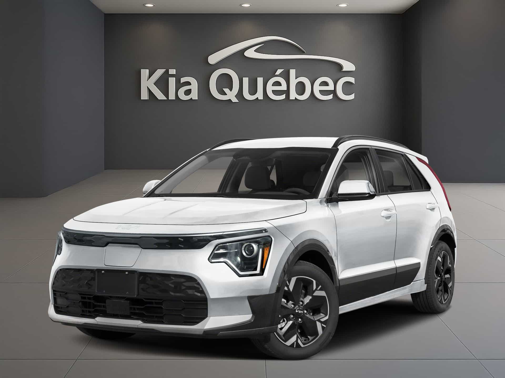 Image 1 Kia Niro EV Niro Ev Wind 2026