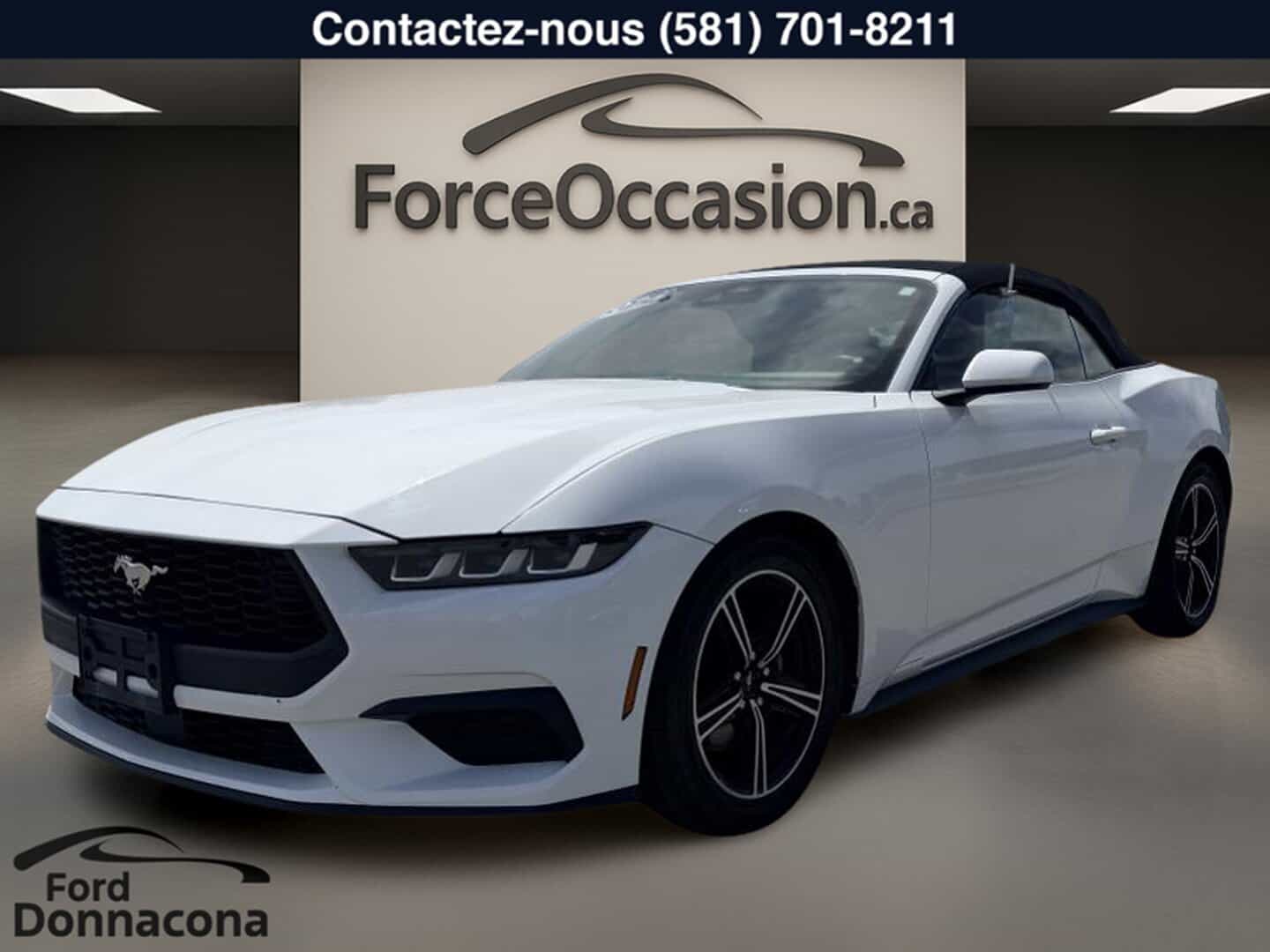 Image 1 Ford Mustang EcoBoost PREMIUM CONVERTIBLE - CUIR - BOUTON POUSSOIR - MOTEUR 2,3L 2024