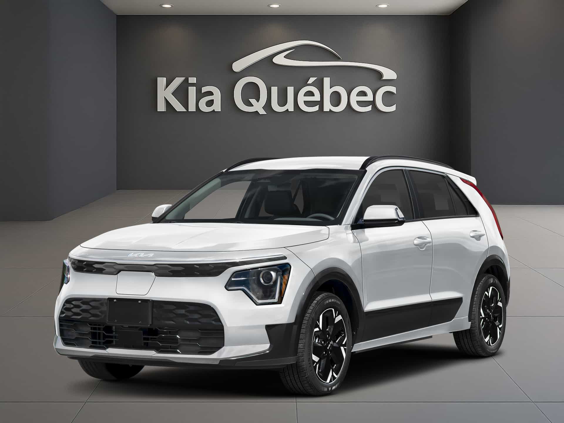 Image 1 Kia Niro EV Niro Ev Wind 2026