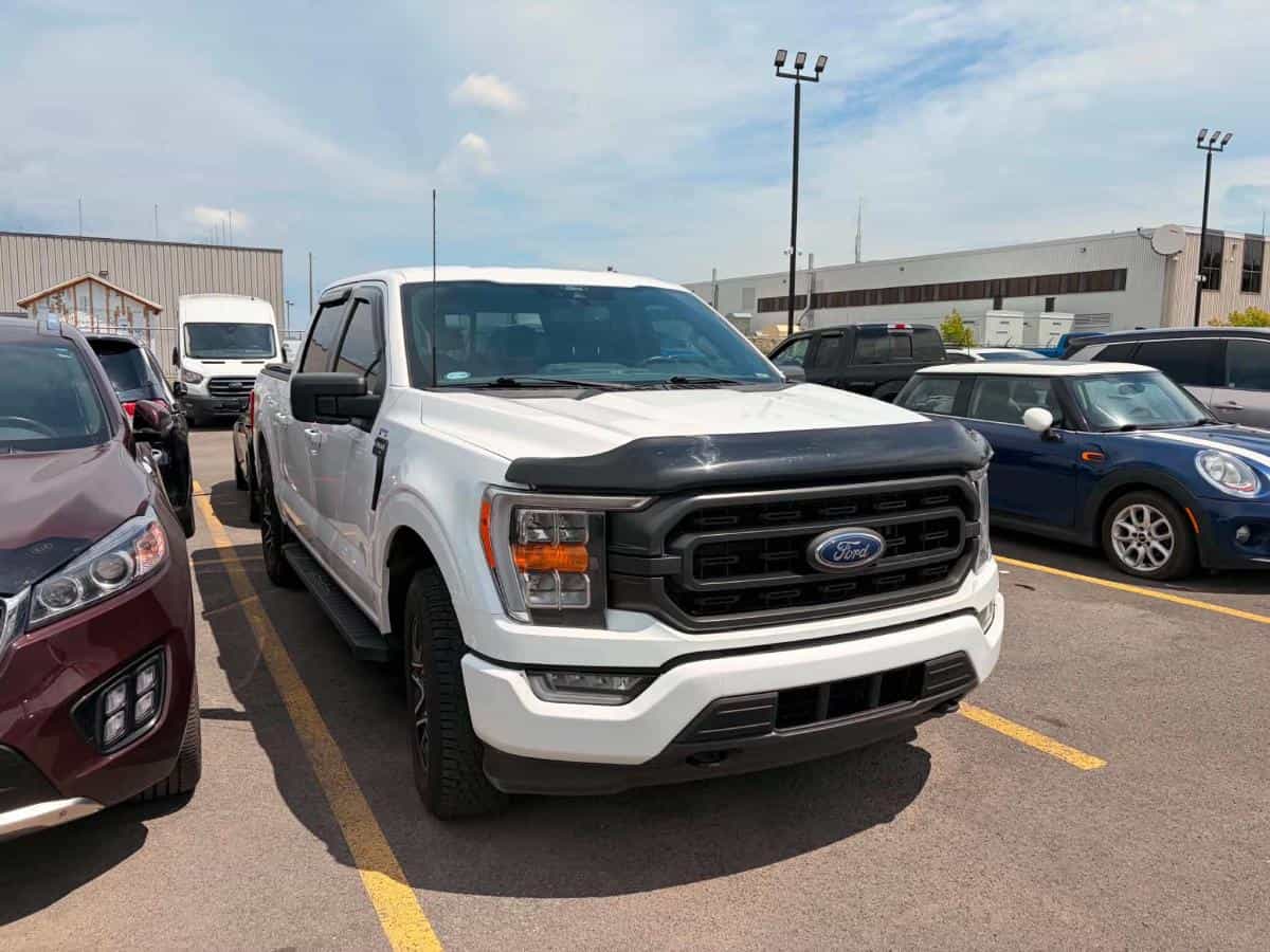 Image 1 Ford F-150 Xlt 4X4 *Ecoboost *Crewcab *Box 5"5 *Carplay *Cruise 2022
