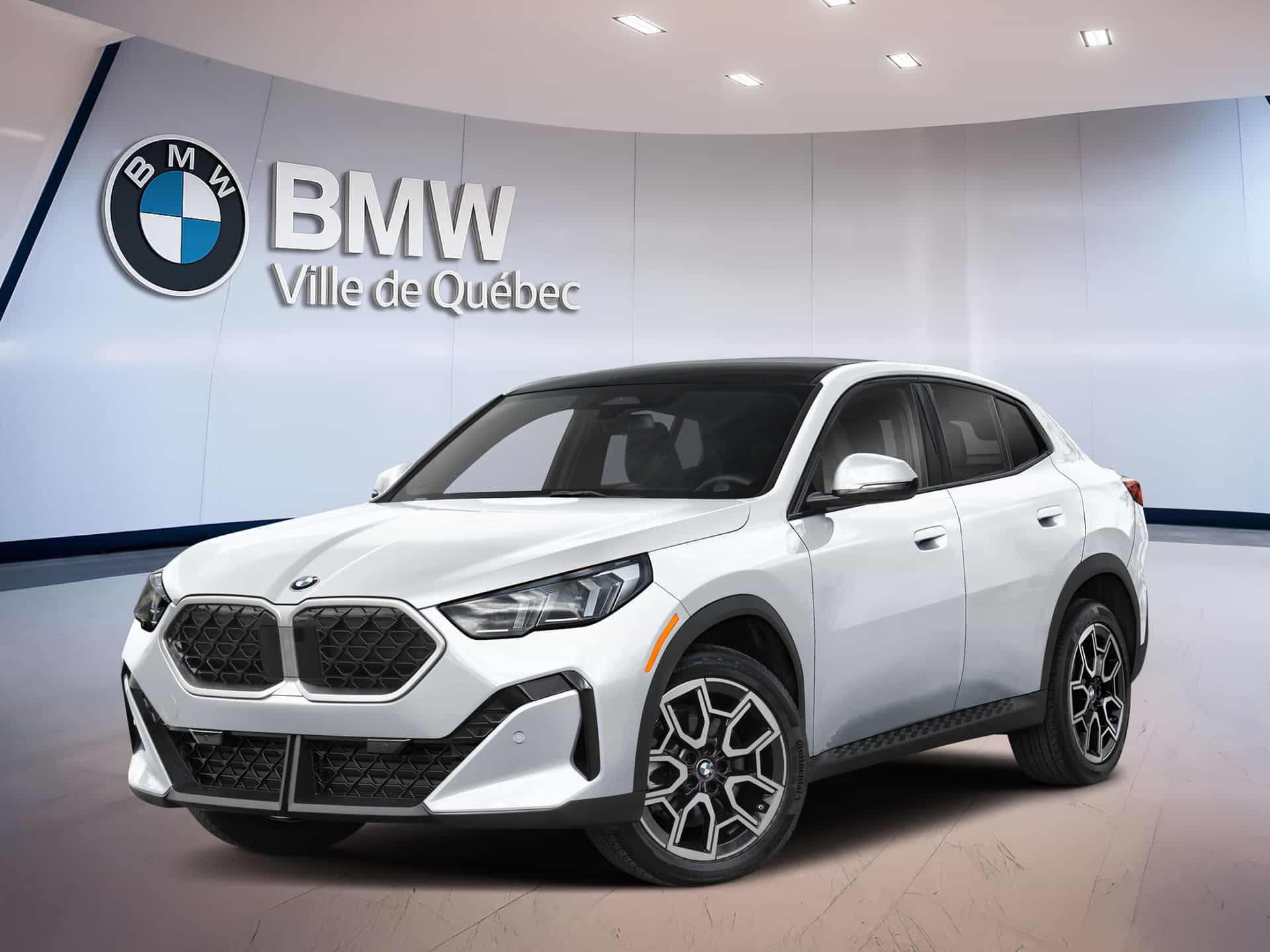 Image 1 BMW X2 xDrive28i 2026
