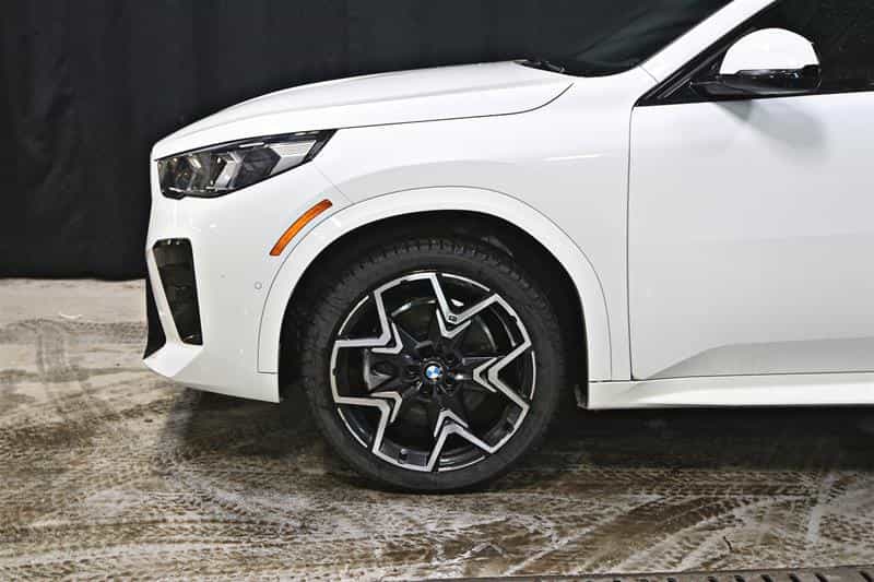 Image 6 BMW X2 xDrive28i 2024