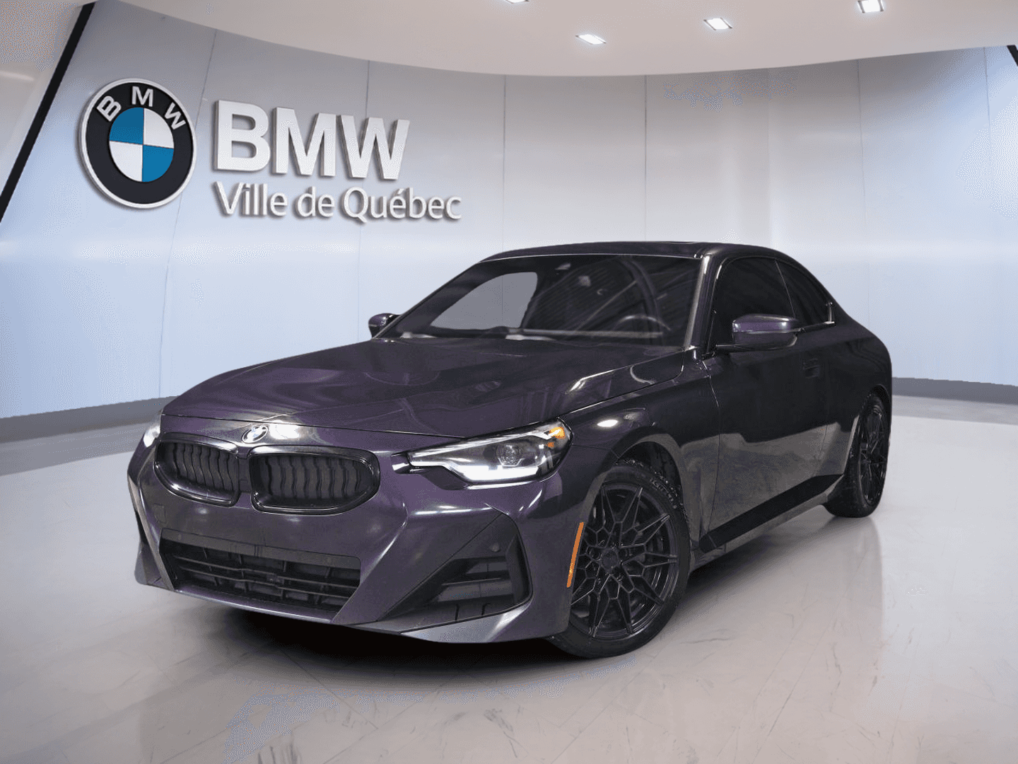 Image 1 BMW 2 Series xDrive Coupe 2023