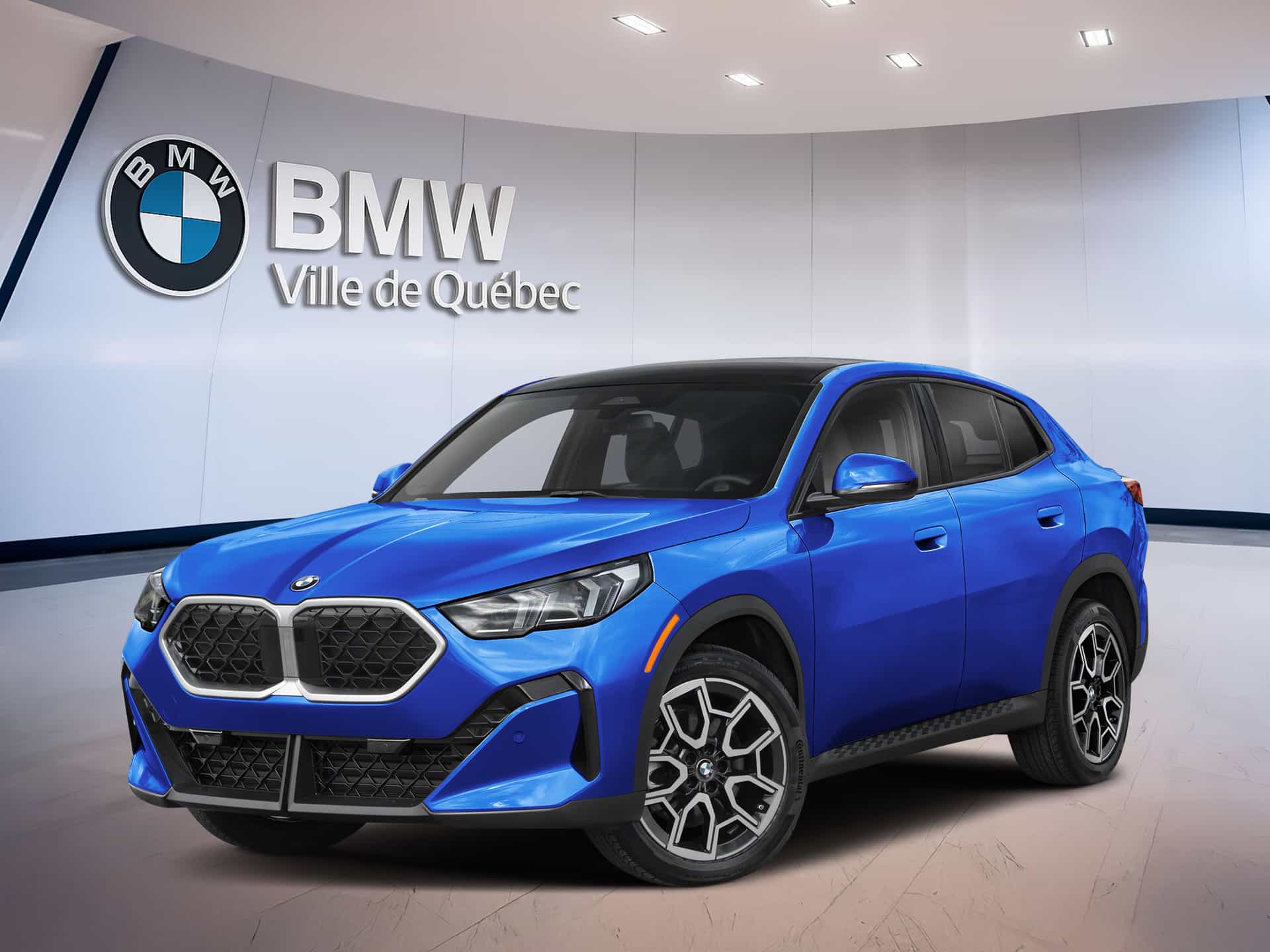 Image 1 BMW X2 xDrive28i 2026