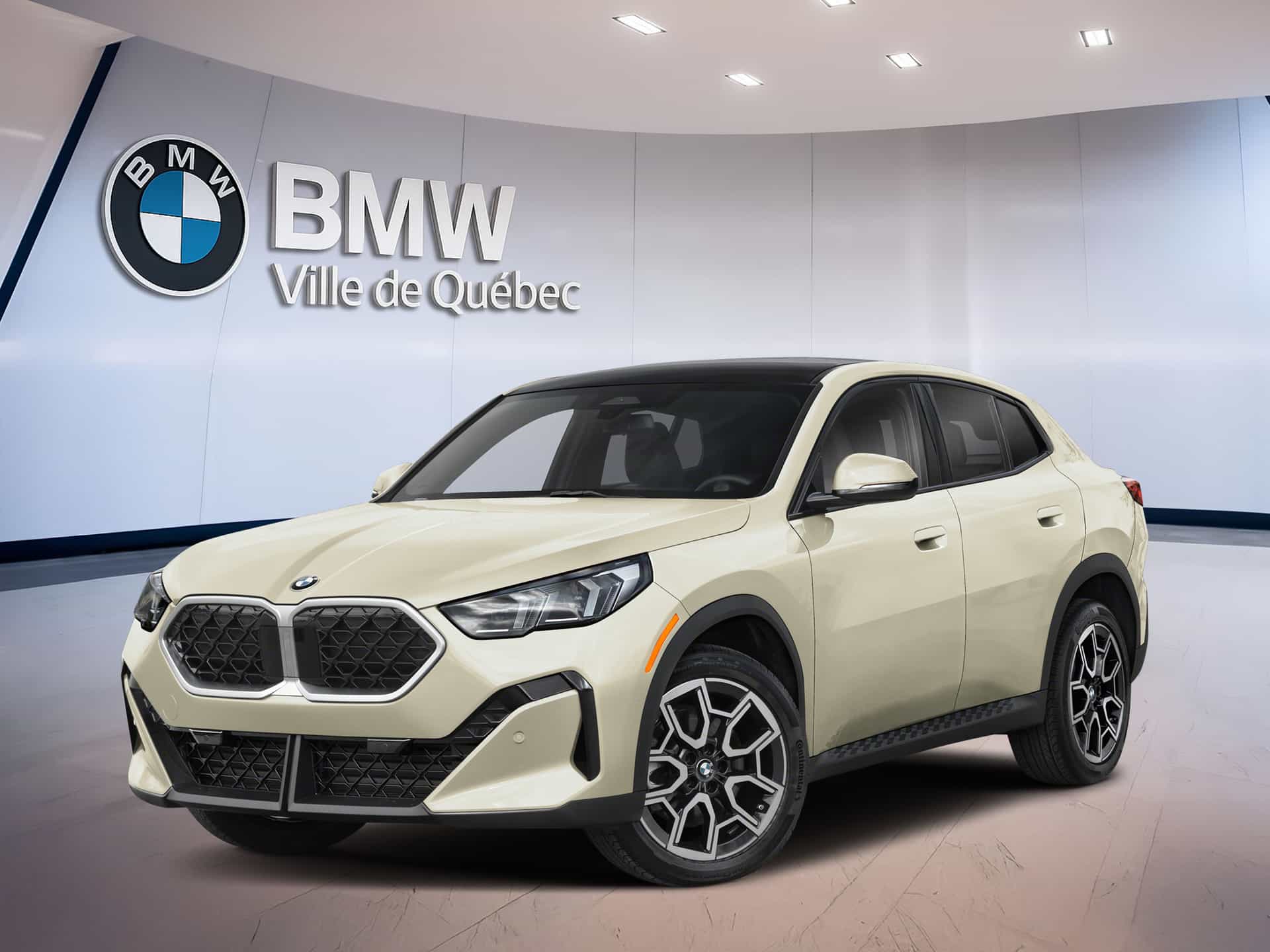 Image 1 BMW X2 xDrive28i 2026