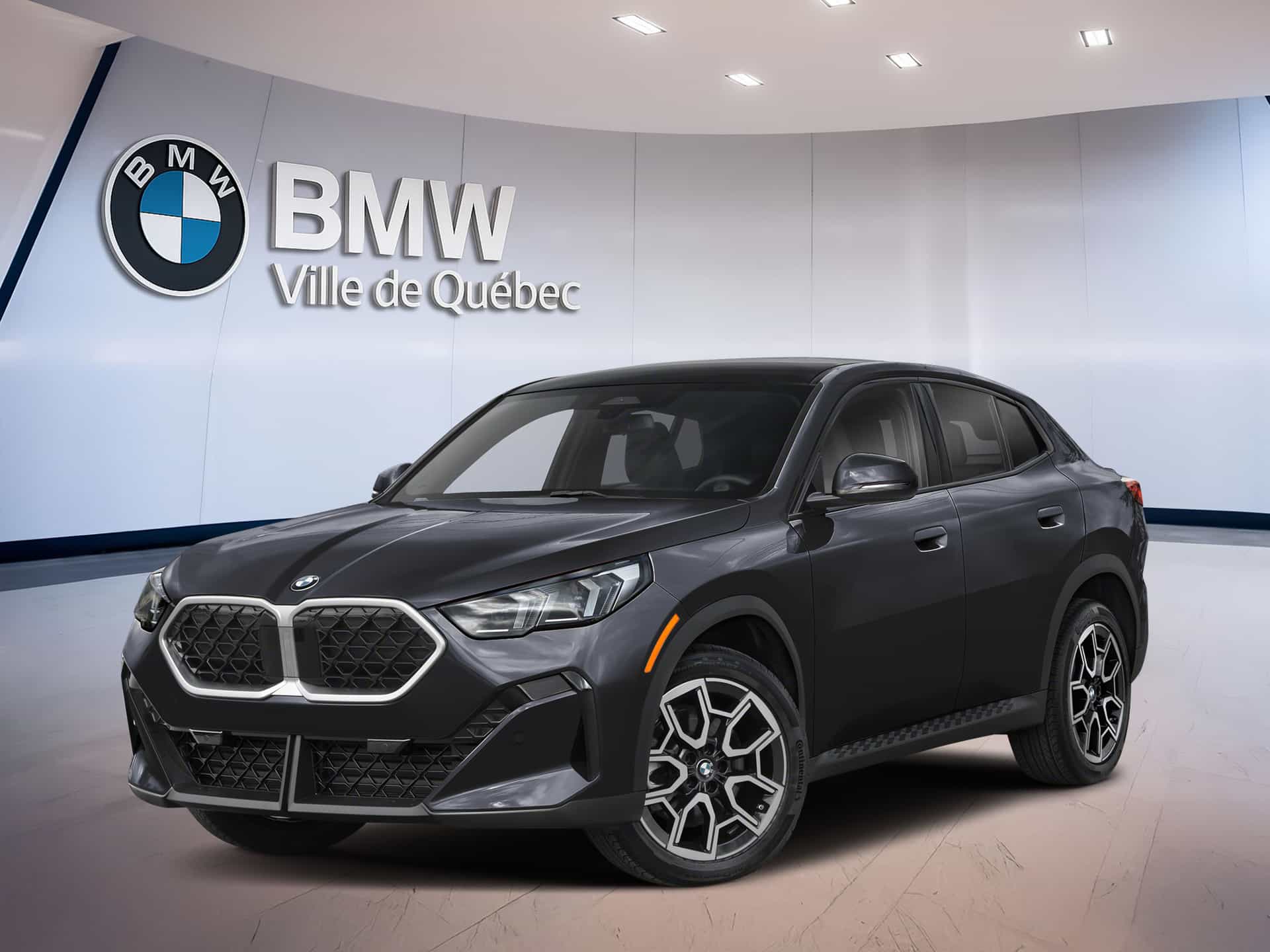 Image 1 BMW X2 xDrive28i 2026