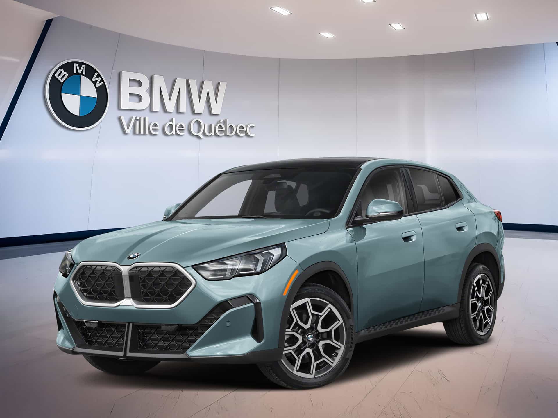 Image 1 BMW X2 xDrive28i 2026