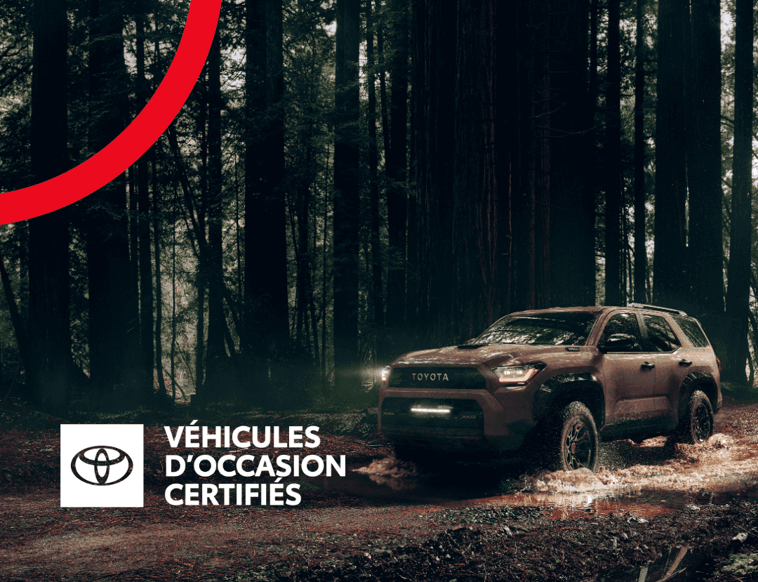 Image 18 Toyota Rav4 Prime Se 2023