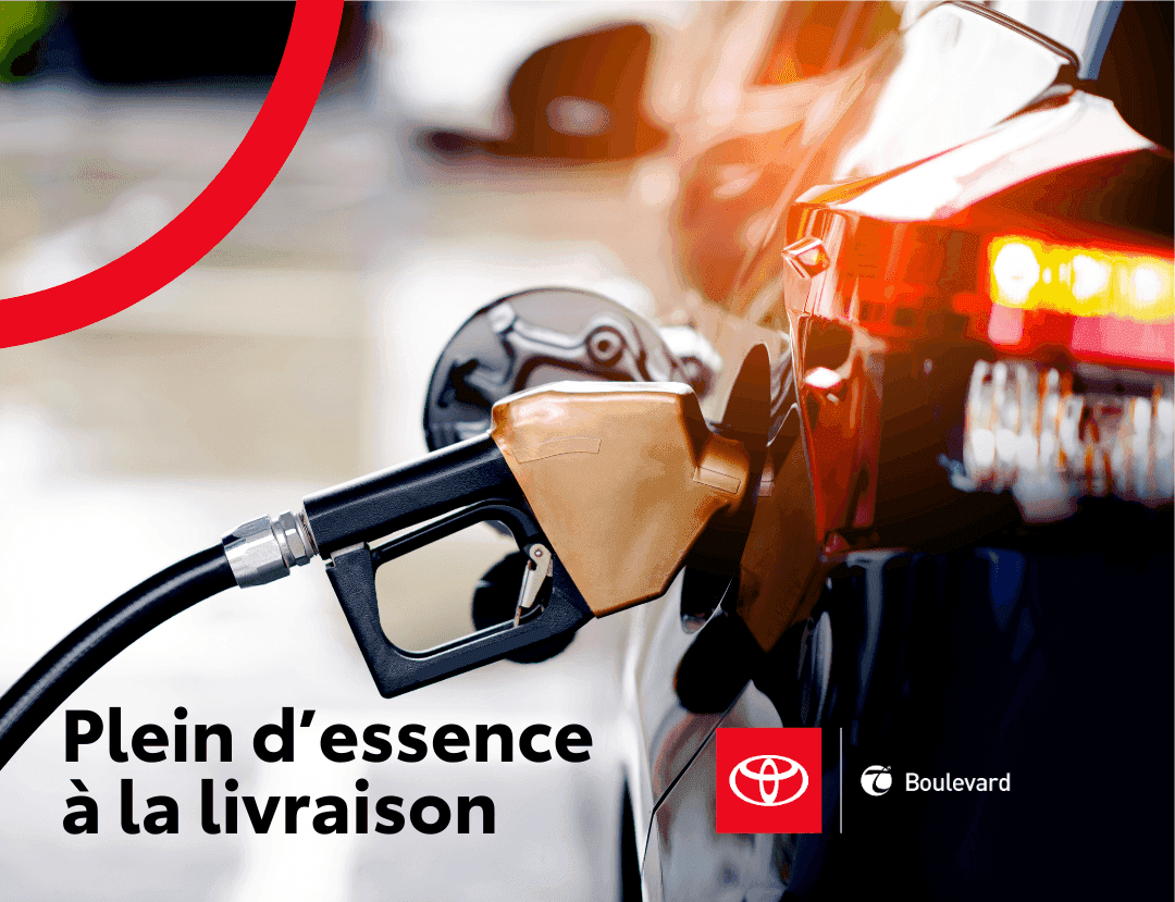 Image 12 Toyota Corolla Se 2022