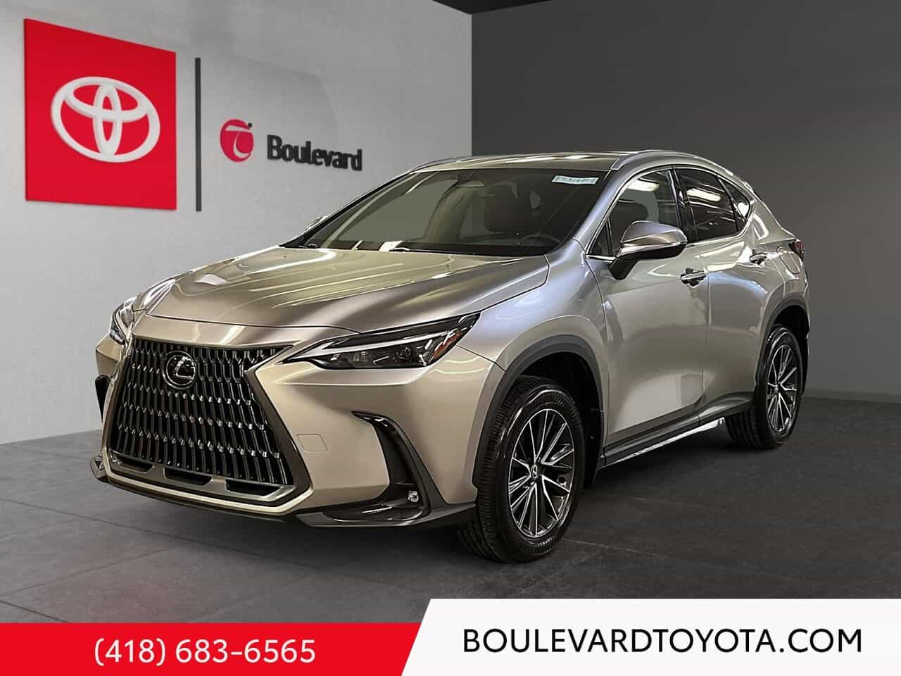 2024 Lexus NX Nx 350 Ti - Image 1