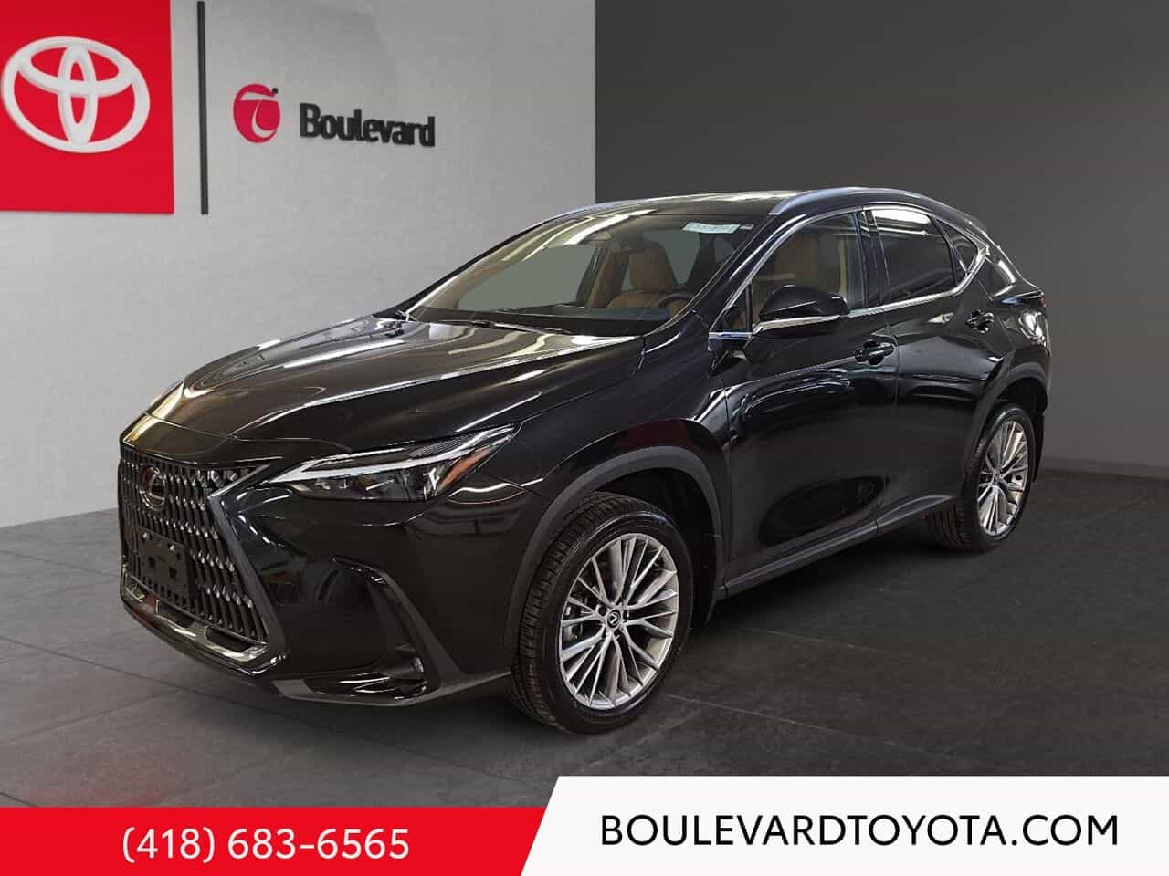 2024 Lexus NX Nx 350 - Image 1