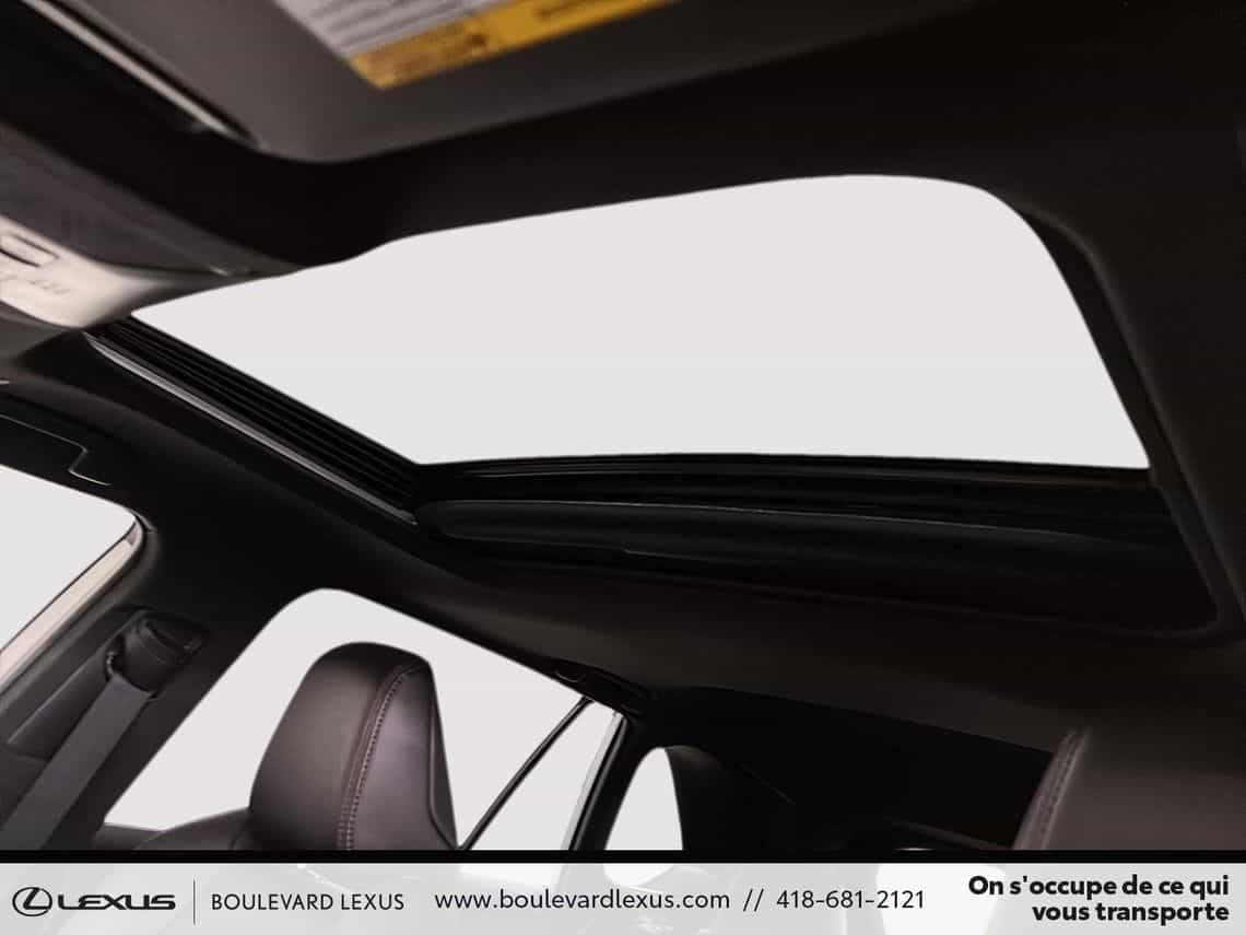 2023 Toyota Rav4 Prime Xse - Image 13