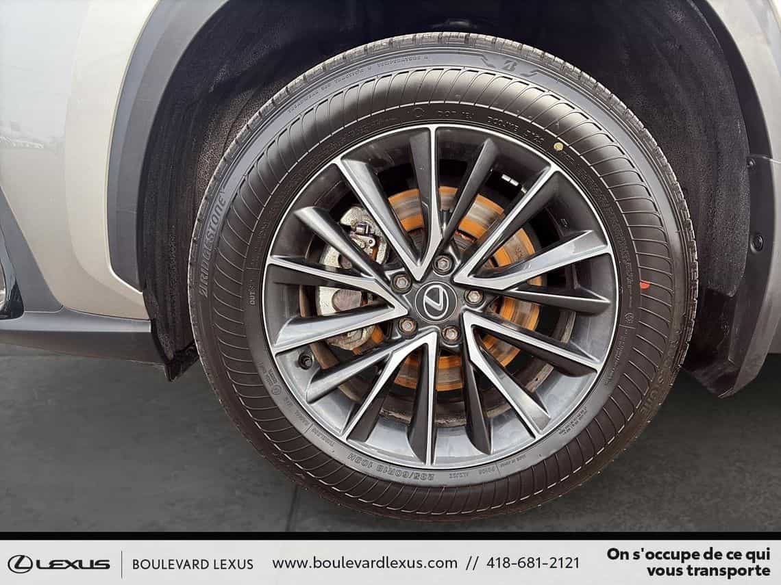 2024 Lexus NX 350h Premium - Image 8