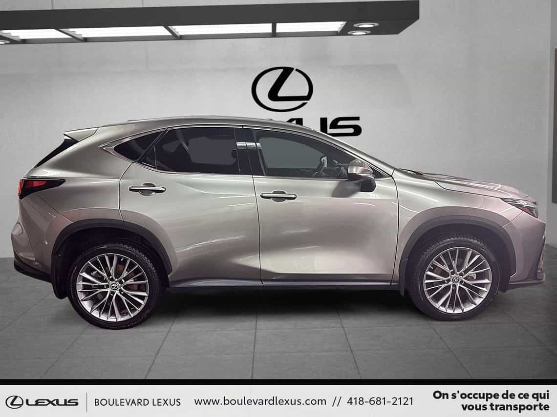 2022 Lexus NX 350h Luxe - Image 3
