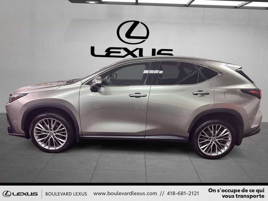 2022 Lexus NX 350h Luxe - Image 7