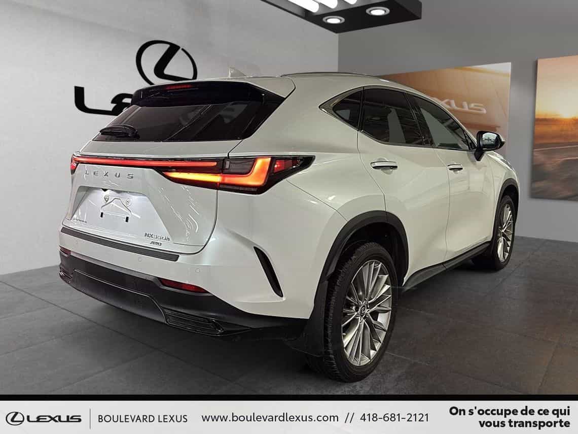 2023 Lexus NX 350h Luxe - Image 4