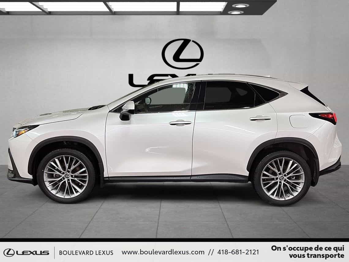2023 Lexus NX 350h Luxe - Image 7