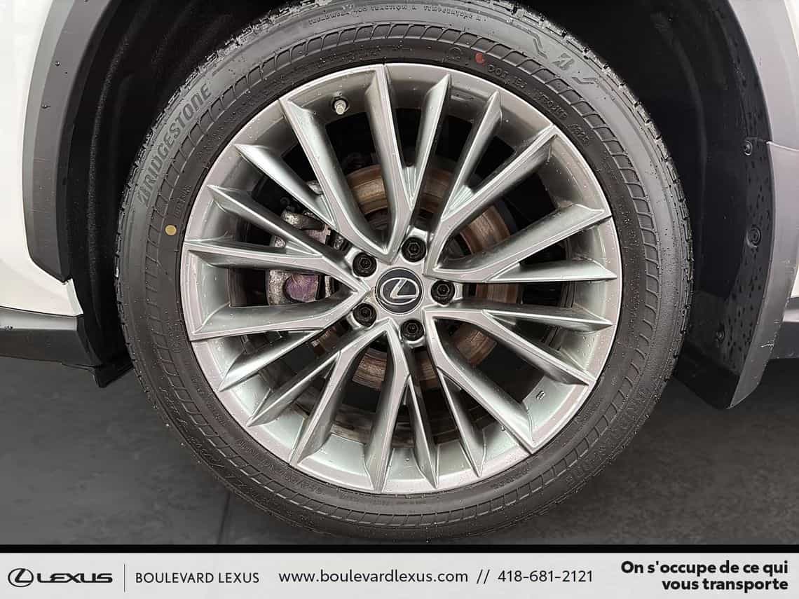 2023 Lexus NX 350h Luxe - Image 8