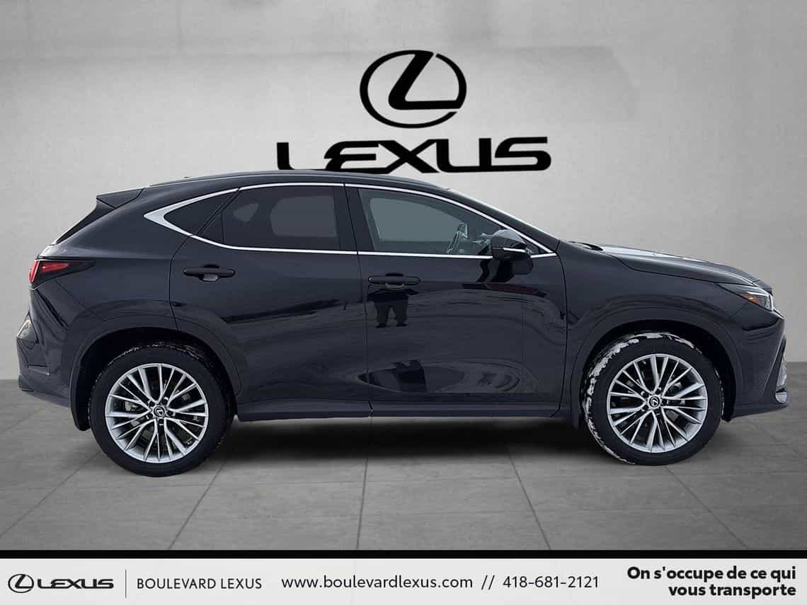 2023 Lexus NX 350 Ultra Luxe - Image 3