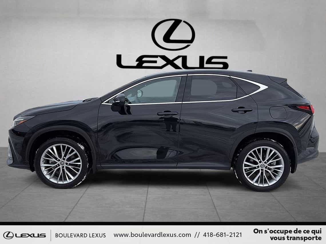 2023 Lexus NX 350 Ultra Luxe - Image 7