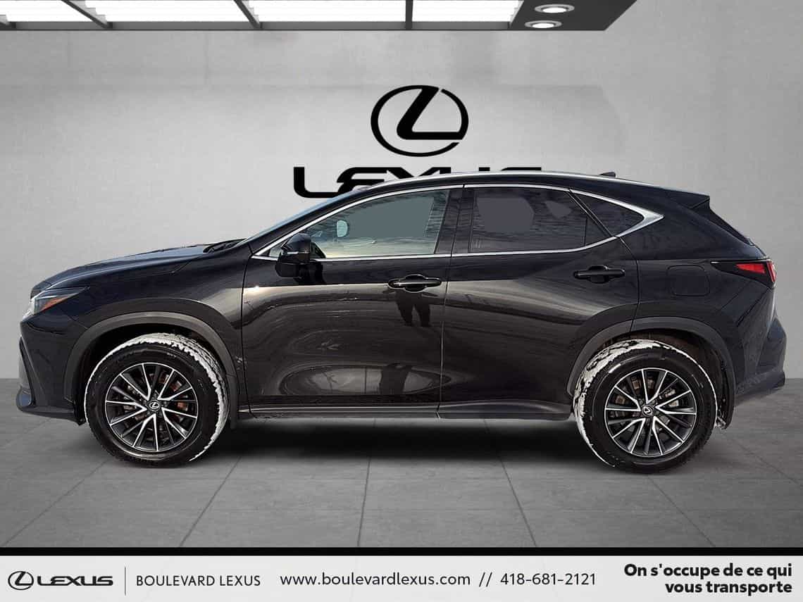 2024 Lexus NX 350h Premium - Image 7