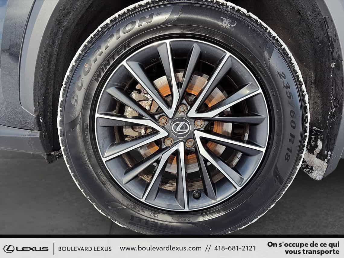 2024 Lexus NX 350h Premium - Image 8