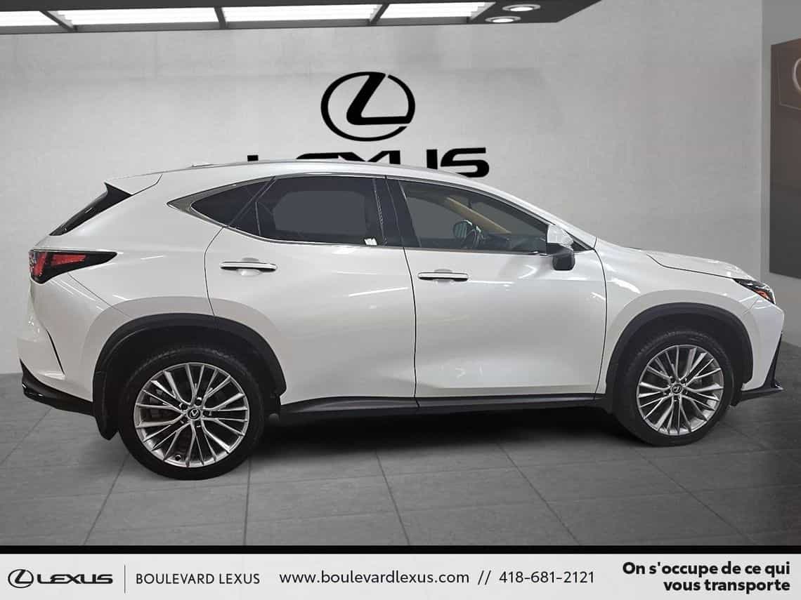 2024 Lexus NX 350 Luxe - Image 3