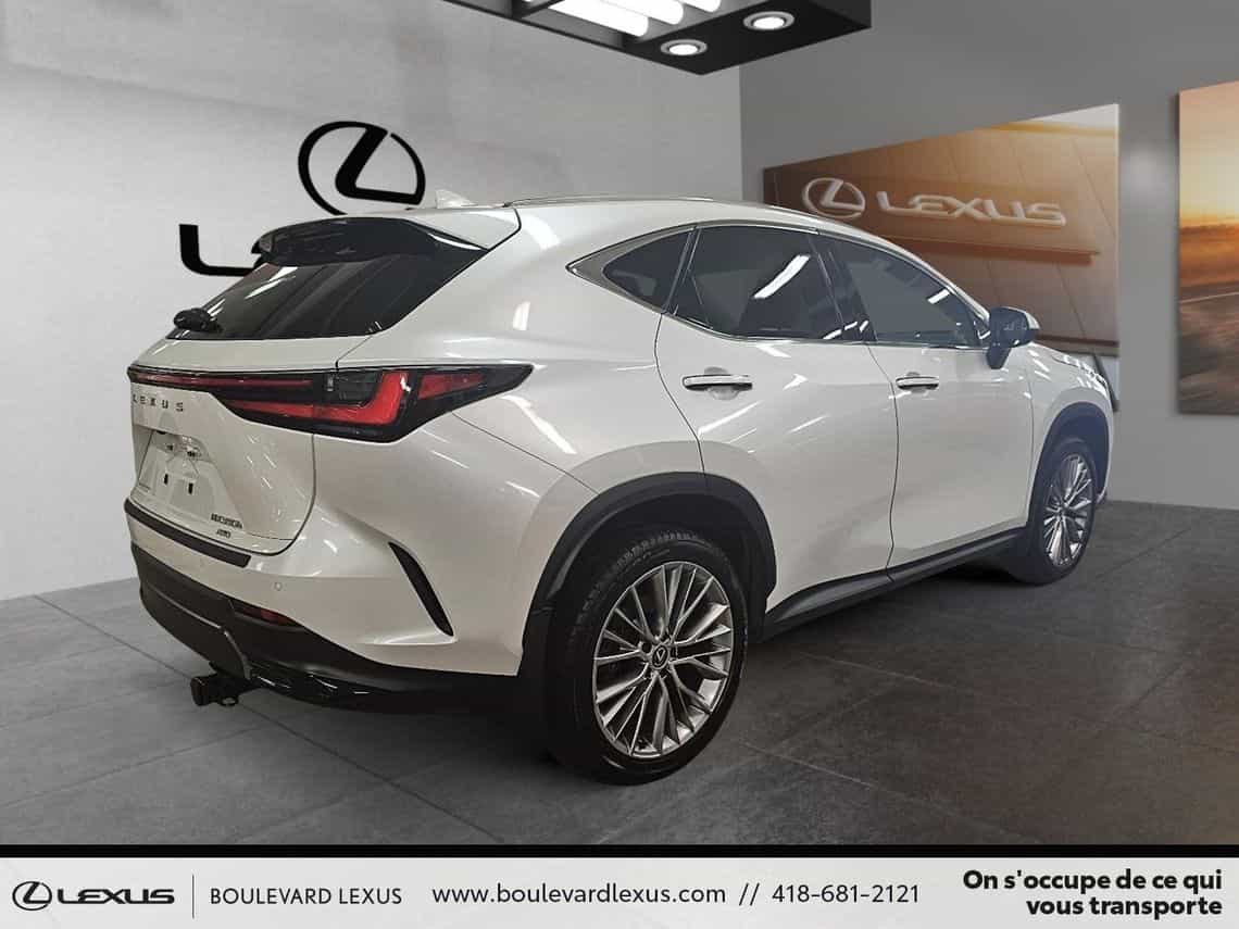 2024 Lexus NX 350 Luxe - Image 4