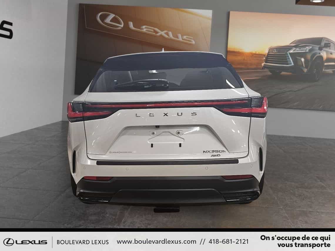 Image 5 Lexus NX 350 Luxe 2024